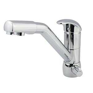 Kitchen Faucet with Water Filter